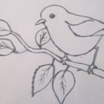 Best Bird Patterns for Embroidery