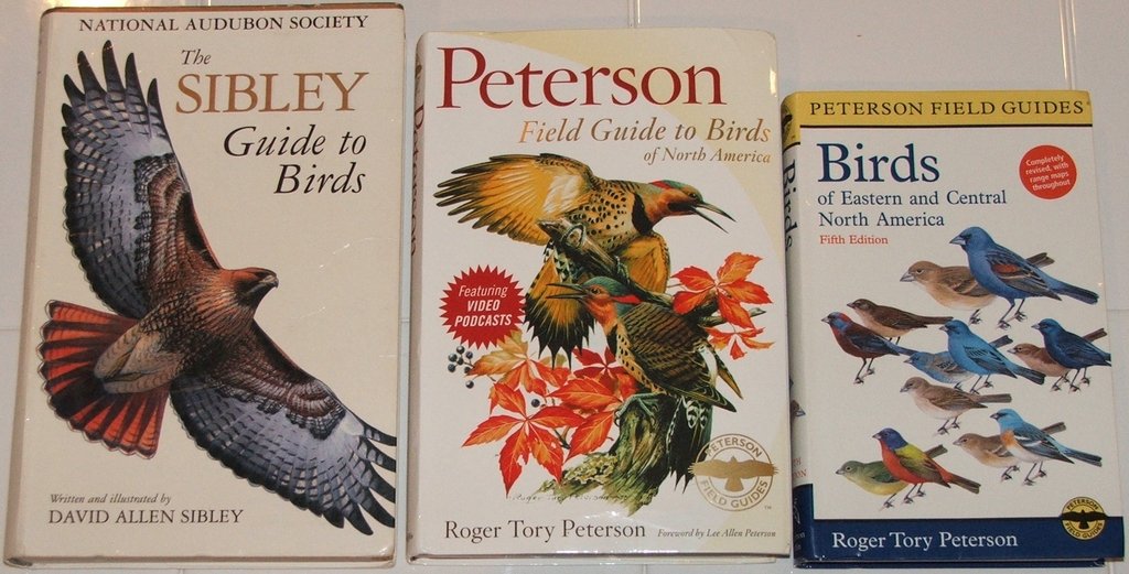 Best Books for Learning About Bird Patterns