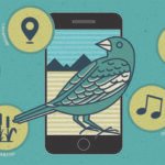 Birdwatching Apps for Identifying Patterns