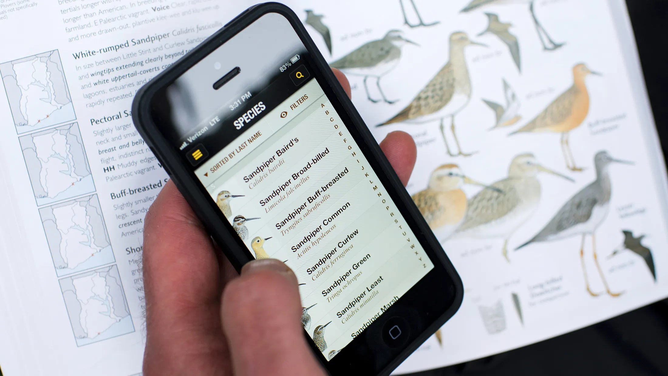 Birdwatching Apps for Identifying Patterns