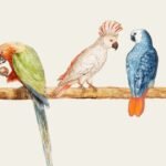 Painting Bird Patterns
